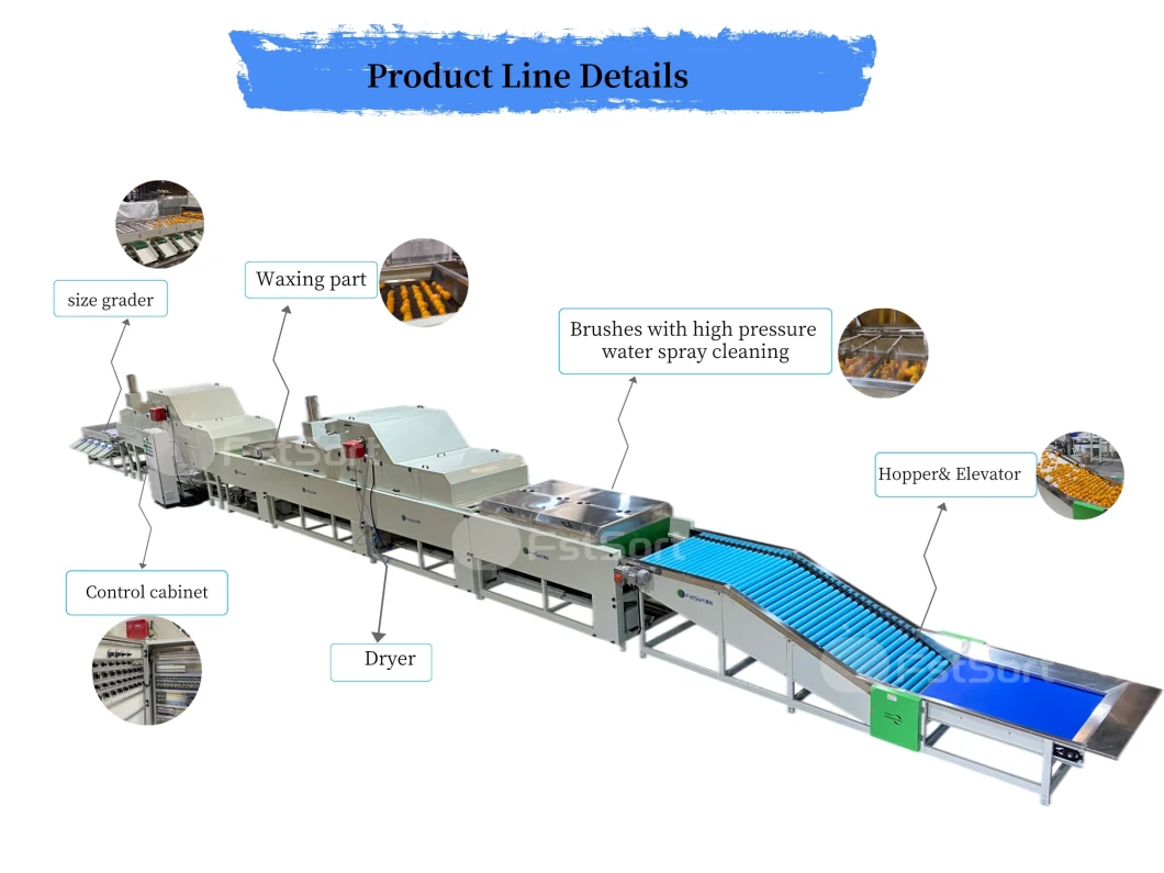 Industrial Large-Scale Fruit and Vegetable Mandarin Orange Tangerine Tomato Citrus Cleaning and Air-Drying Sorting Grading Machine Production Line