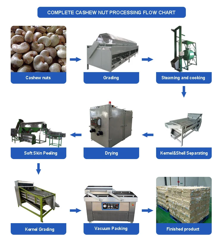 Cashew Cracker Machine Cashew Production Line Fully Automatic Cashew Nuts Processing Line