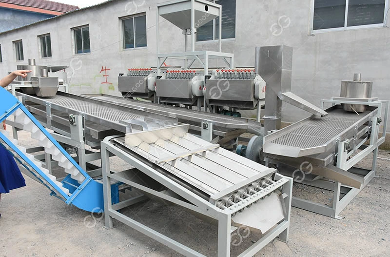 Automatic Kaju Processing Machine Cashew Nut Processing Plant Line