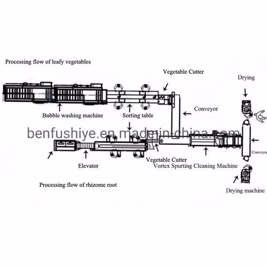 Raízes Limpeza de Vegetais Descascamento Lavagem Corte Secagem Linha de Processamento