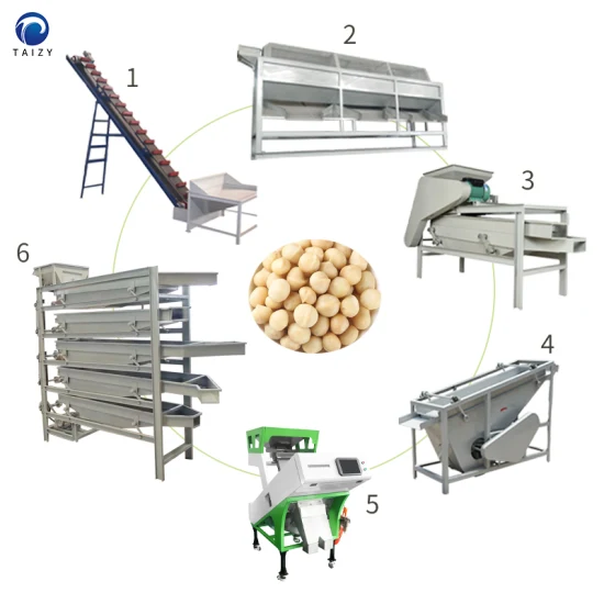 Máquina de trituração de nozes Máquina de descascamento de amêndoas Máquina de processamento de nozes de macadâmia de caju