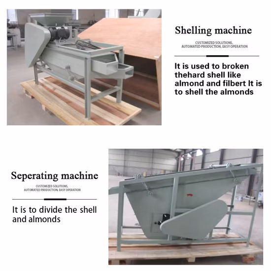 TCA Alta Qualidade 150kg/H 400kg/H Máquina de Descascar Pistache Linha de Processamento e Embalagem
