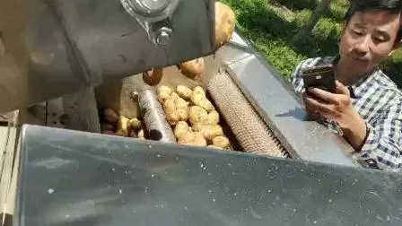 Máquina automática de batatas fritas Linha de produção de chips de batata frita Linha de processamento de salgadinhos fritos